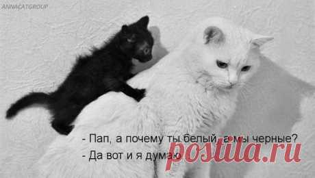 Мой Мир@Mail.Ru