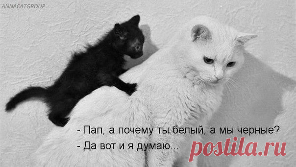 Мой Мир@Mail.Ru