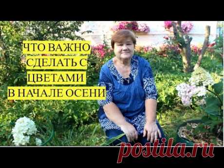 НЕ УПУСТИТЕ ВРЕМЯ! Как подготовить цветы к зиме и защитить от вымерзания