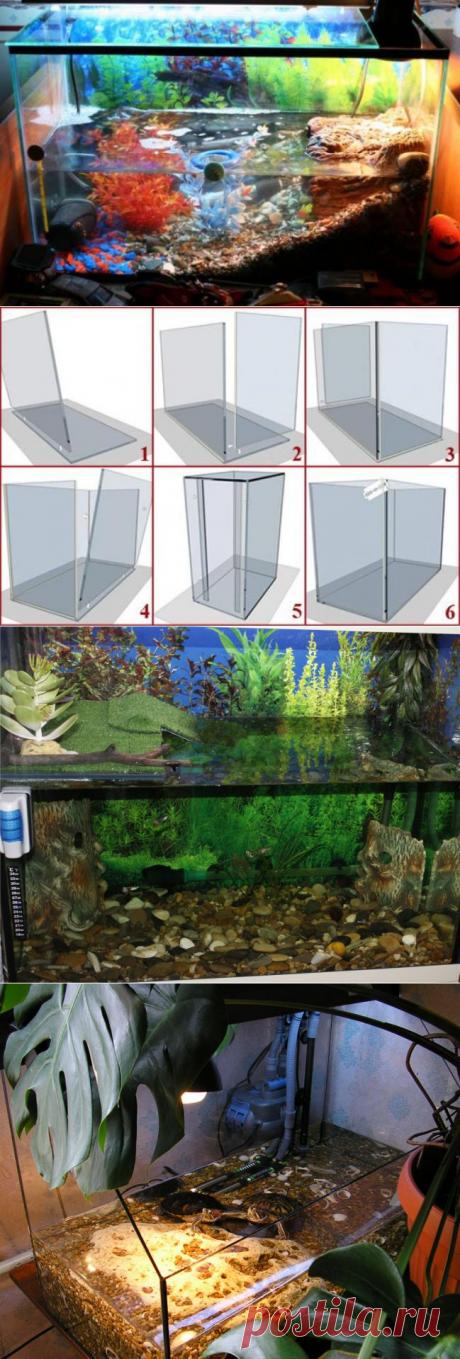 Аквариум для красноухой черепахи. Способы изготовления и обустройства аквариума - LadySpecial.ru