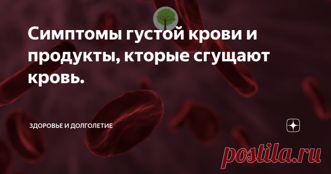 Симптомы густой крови и продукты, кторые сгущают кровь. Кровь – это одно из самых важных для нашего организма. Абсолютно все в организме питается кровью, поэтому хорошее кровообращение это очень важно, это залог здоровья. Кровь — это особая соединительная ткань организма человека, имеющая жидкую форму. Она влияет на то, как будут функционировать все органы и системы человека.
Так, какие же продукты сгущают кровь?
Употребление некоторых продуктов и