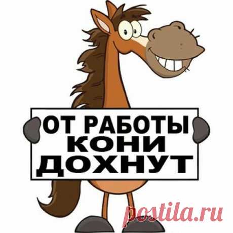 Юмор о работе и о тех кто пашет как лошадь: анекдоты, веселые картинки