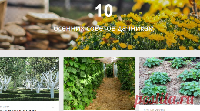 10 осенних советов дачникам - МирТесен