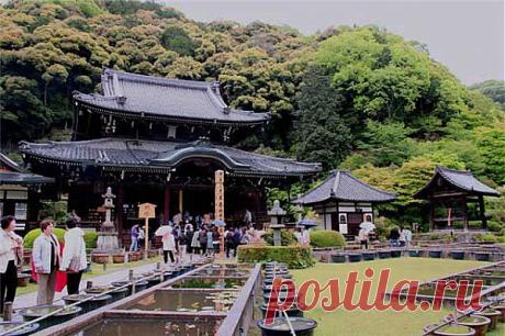 © Мимурото - маленький буддийский храм в городе Уджи. Храм Мимурото-джи расположен на склоне горы. Он совсем небольшой, хотя и древний, - основан в 770 году. А у подножия горы разбит парк, в котором растут 10 000 кустов гортензий и 20 000 кустов азалий. Плюс 1 000 кустов рододендронов разных видов.|Парк у храма Мимурото. Япония | Блог ZooFitoSfera о растениях, животных и интересном