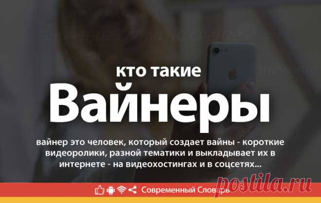 Вайнер что это, что значит Вайнер
