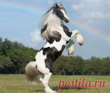 My World@Mail.Ru: stay in touch with your classmates and friends