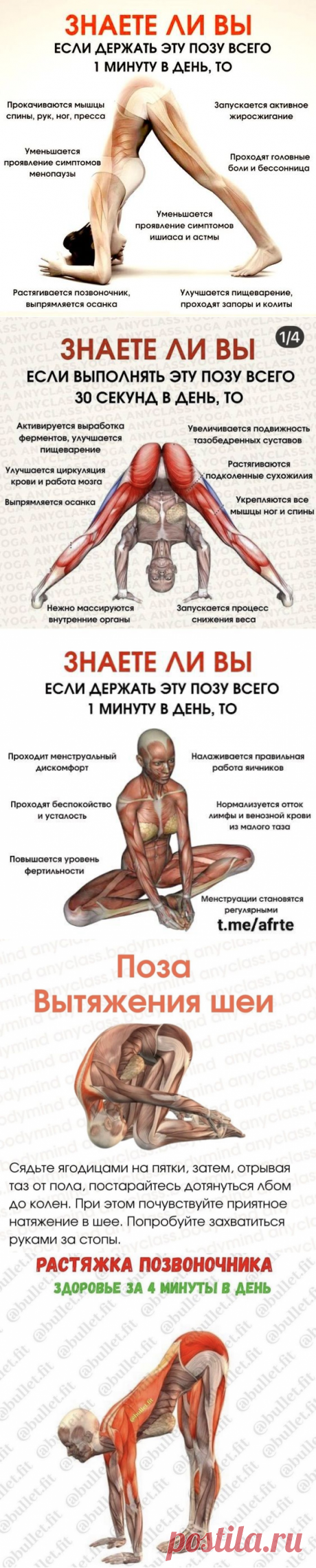(1753) Pinterest