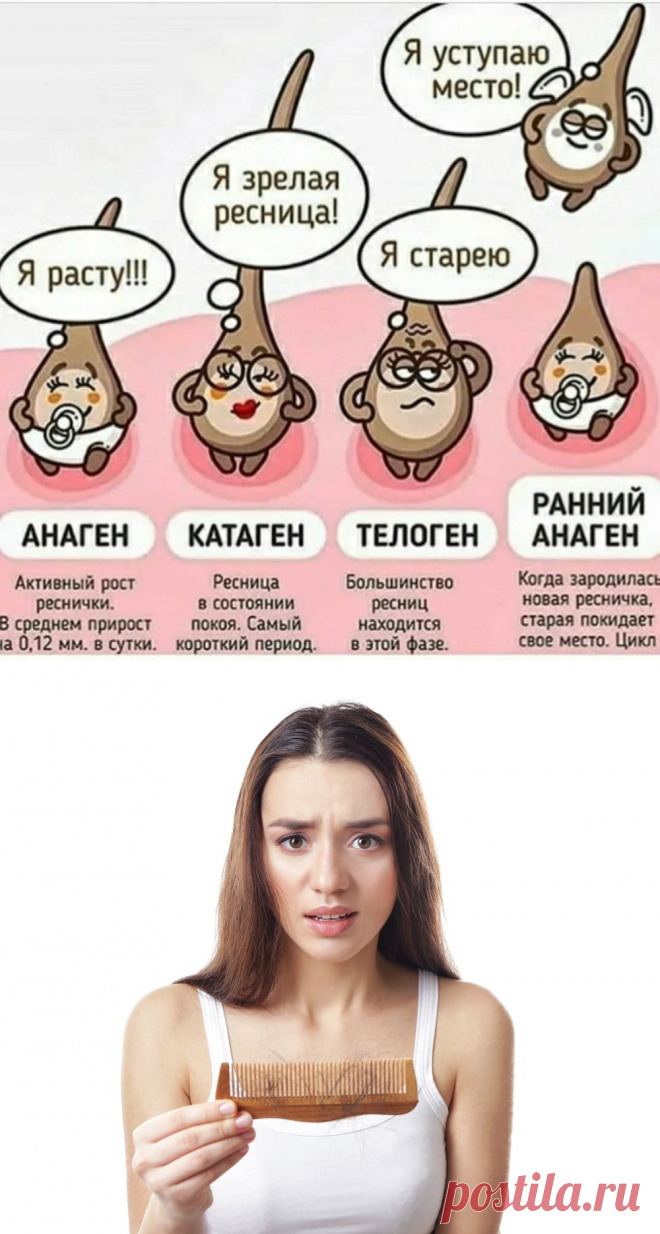 Как пробудить луковицы волос