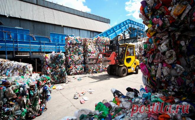 Эксперты объяснили, почему на полках будут бутылки лишь четырех цветов. Исключение бутылок четырех цветов из запрета на производство некоторых видов упаковки из полиэтилентерефталата (ПЭТ) связано с особенностями переработки этих материалов, рассказал РБК член научного совета Российского экологического оператора (РЭО), член экспертного совета Торгово-промышленной палаты по экономике замкнутого цикла Илья Рыбальченко.