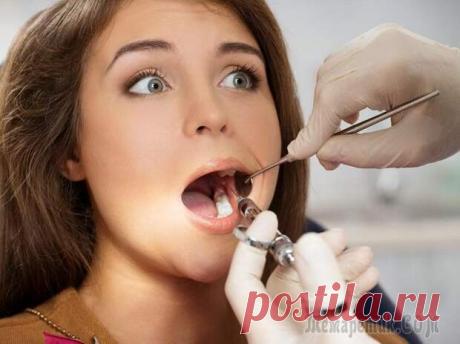 Кариес может быть обращен вспять, или Что Вы не знали о зубах
На острове Шри-Ланка есть старинный храм, в подземной части которого в ступе из позолоченного серебра, в золотой шкатулке, украшенной драгоценными камнями, хранится священная реликвия. Видеть ее удостаиваются чести лишь высокие буддийские чины. Лишь один раз в году эта реликвия выходит на свет божий и становится центром внимания в...
Читай пост далее на сайте. Жми ⏫ссылку выше