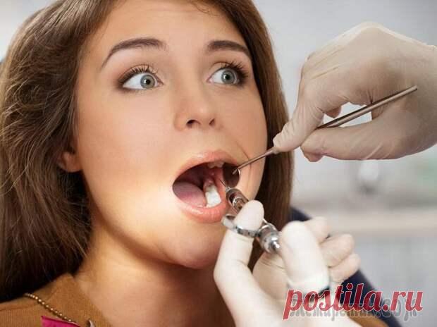 Кариес может быть обращен вспять, или Что Вы не знали о зубах
На острове Шри-Ланка есть старинный храм, в подземной части которого в ступе из позолоченного серебра, в золотой шкатулке, украшенной драгоценными камнями, хранится священная реликвия. Видеть ее удостаиваются чести лишь высокие буддийские чины. Лишь один раз в году эта реликвия выходит на свет божий и становится центром внимания в...
Читай пост далее на сайте. Жми ⏫ссылку выше