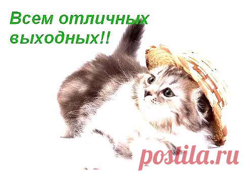 Одноклассники