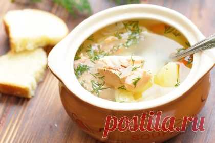 Суп из красной рыбы - Уха из форели рецепт - Простые рецепты Овкусе.ру
