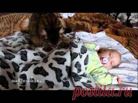 Cat lulling a baby / Кошка убаюкала ребенка - YouTube