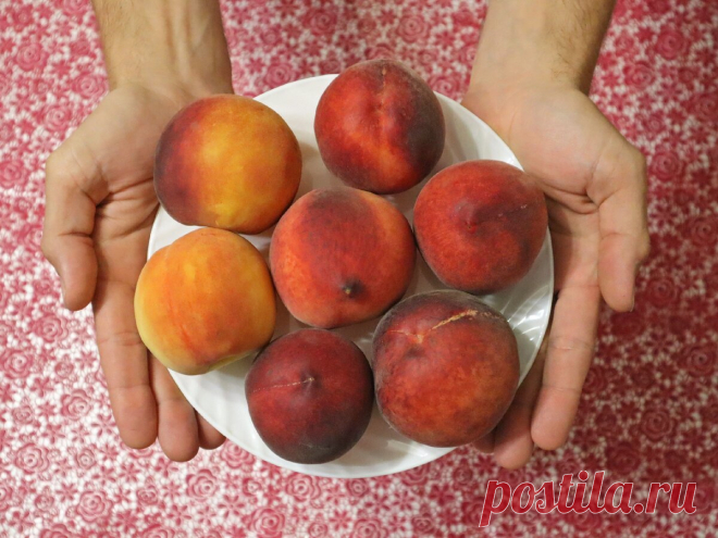 В магазине теперь всегда беру персики 