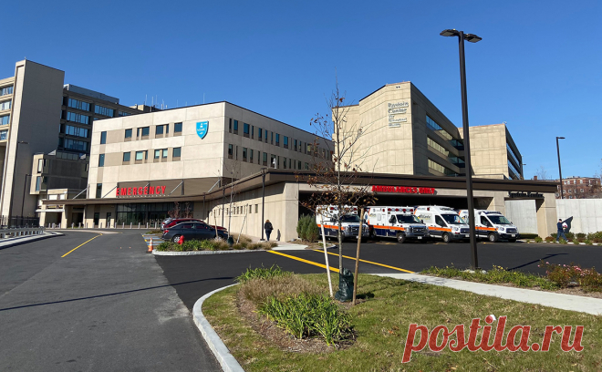 В еще одном штате США произошла вспышка устойчивого к лечению грибка. В штате Орегон три человека госпитализировали после заражения грибком Candida auris, который устойчив к лечению противогрибковыми препаратами.