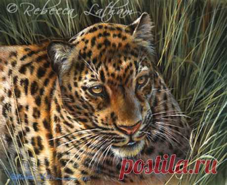 Леопард в траве – миниатюра на Иворине | Картины дикой природы и природы Ребекки Лэтэм
