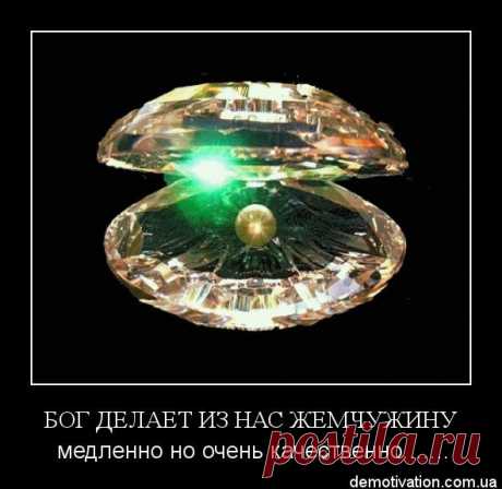 Мудрые мысли