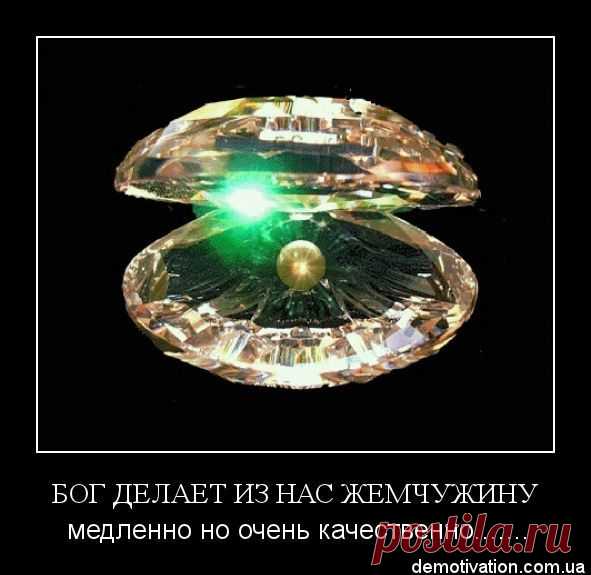Мудрые мысли
