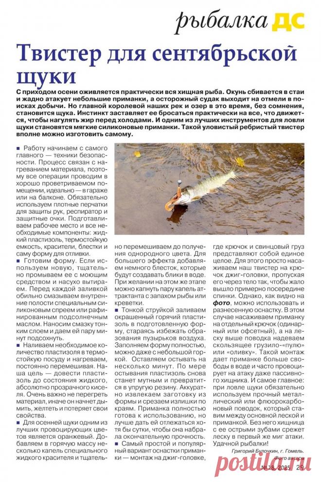 Твистер для сентябрьской щуки
