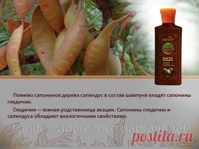 Купить Шампунь на основе мыльного ореха, 300 мл Запорожье и Украине от компании "ТианДе"