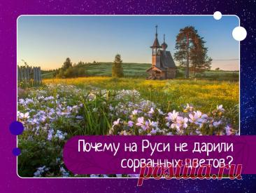 Почему на Руси не дарили сорванные цветы: значение корней, приметы и народные объяснения