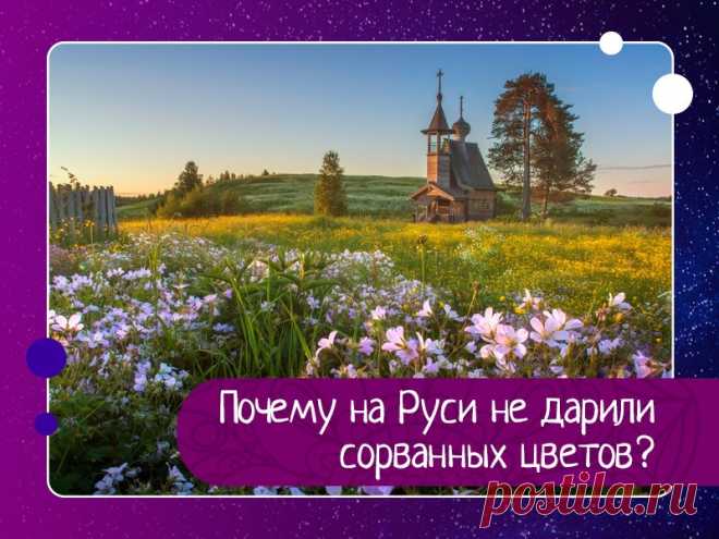 Почему на Руси не дарили сорванных цветов?