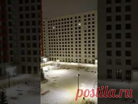 А я жаворонок...#Shorts