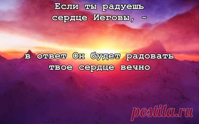 Блог сайта - Блог сайта - Свидетели Иеговы наблюдают мир