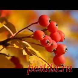 Интересные новости