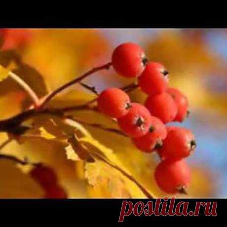 Интересные новости