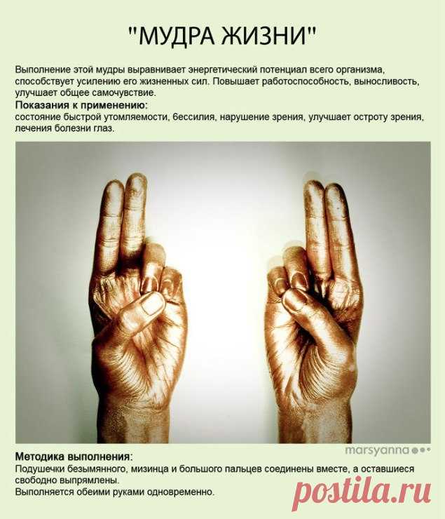буддизм мудрые изречения: 13 тыс изображений найдено в Яндекс.Картинках