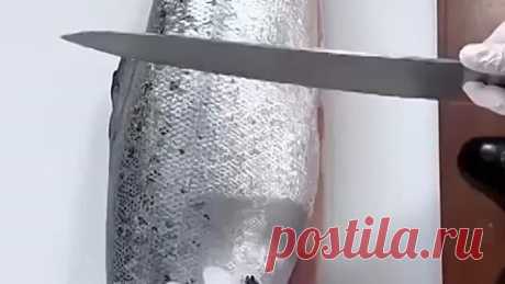 Смотрите и учитесь