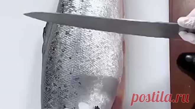 Смотрите и учитесь