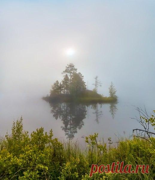 Туманный летний рассвет на озере. Север Ленинградской области. Автор фото – Федор Лашков: nat-geo.ru/photo/user/27510/