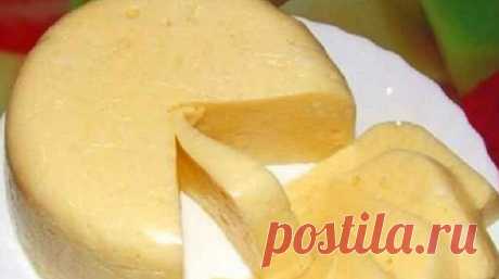 Домашний твердый сыр намного вкуснее покупного