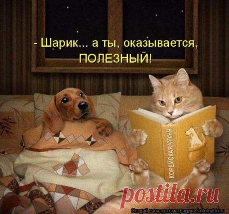 Они всё знают!