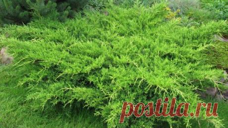 Притчи в стихах