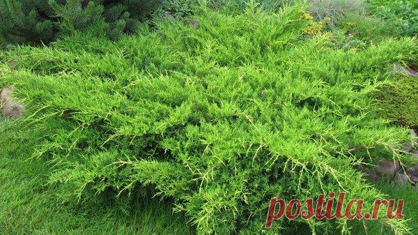 Притчи в стихах