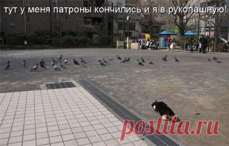 Пенсионеры в сети – Владимир Бараненков добавил фотографию в альбом ЮМОР В КАРТИНКАХ