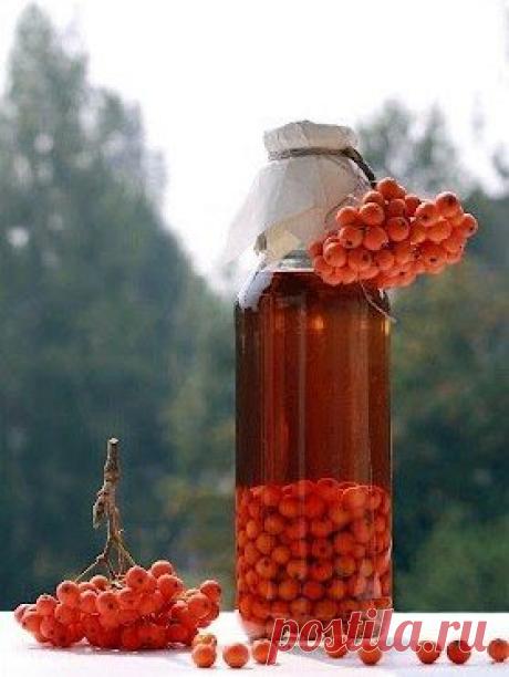 Рябина на коньяке