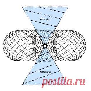Свободная энергия биологическая функция состояния