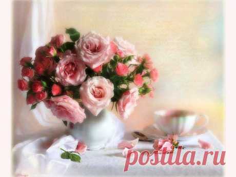 чайные розы