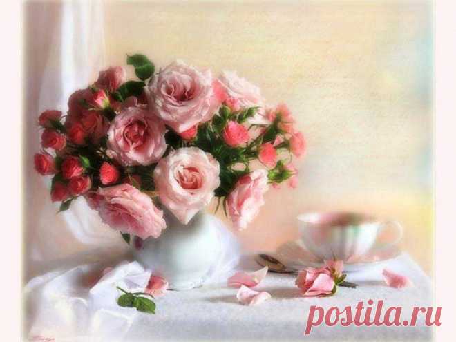 чайные розы