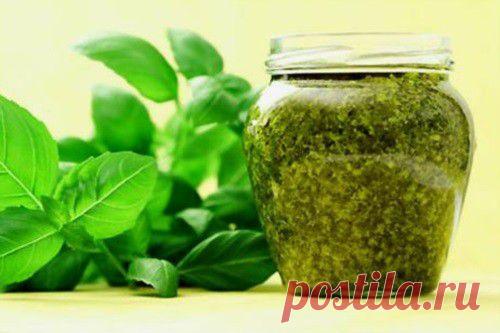 Заготовки из зелени на зиму / Простые рецепты