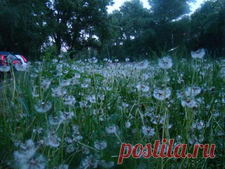 Lena Lyashchenko
56 лет, Россия, Липецк Россия