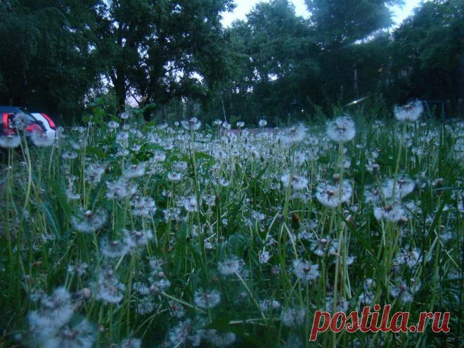 Lena Lyashchenko
56 лет, Россия, Липецк Россия