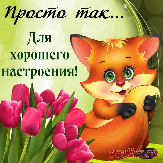 весёлые картинки для поднятия настроения – Google Поиск