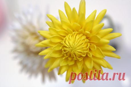 МАСТЕР-КЛАСС / Tutorial | Записи в рубрике МАСТЕР-КЛАСС / Tutorial | Вдохновлялочка Марриэтты