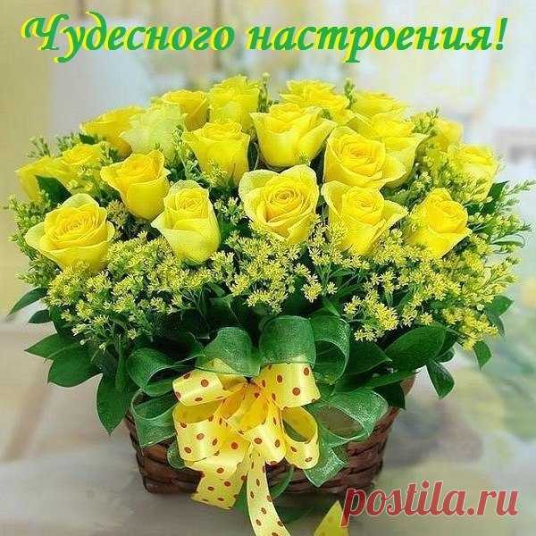 Поздравляем с Днём рождения всех, кто родился — 18 апреля!